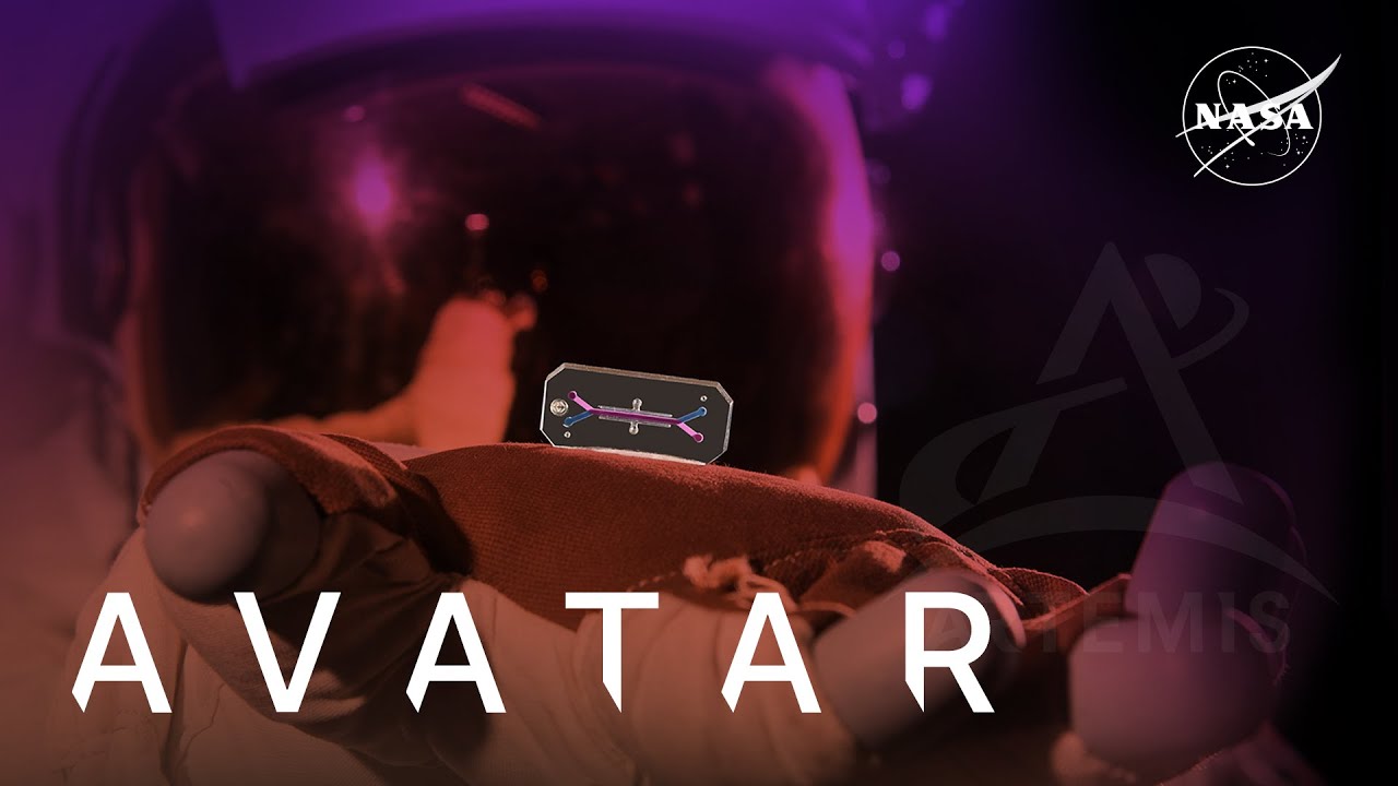 Qué es AVATAR: el proyecto de la NASA que pretende enviar tejido humano a la Luna