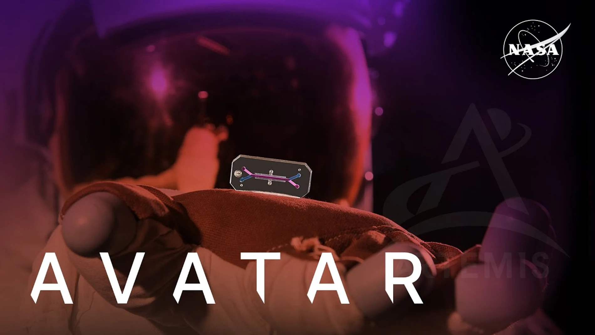 Qué es AVATAR: el proyecto de la NASA que pretende enviar tejido humano a la Luna