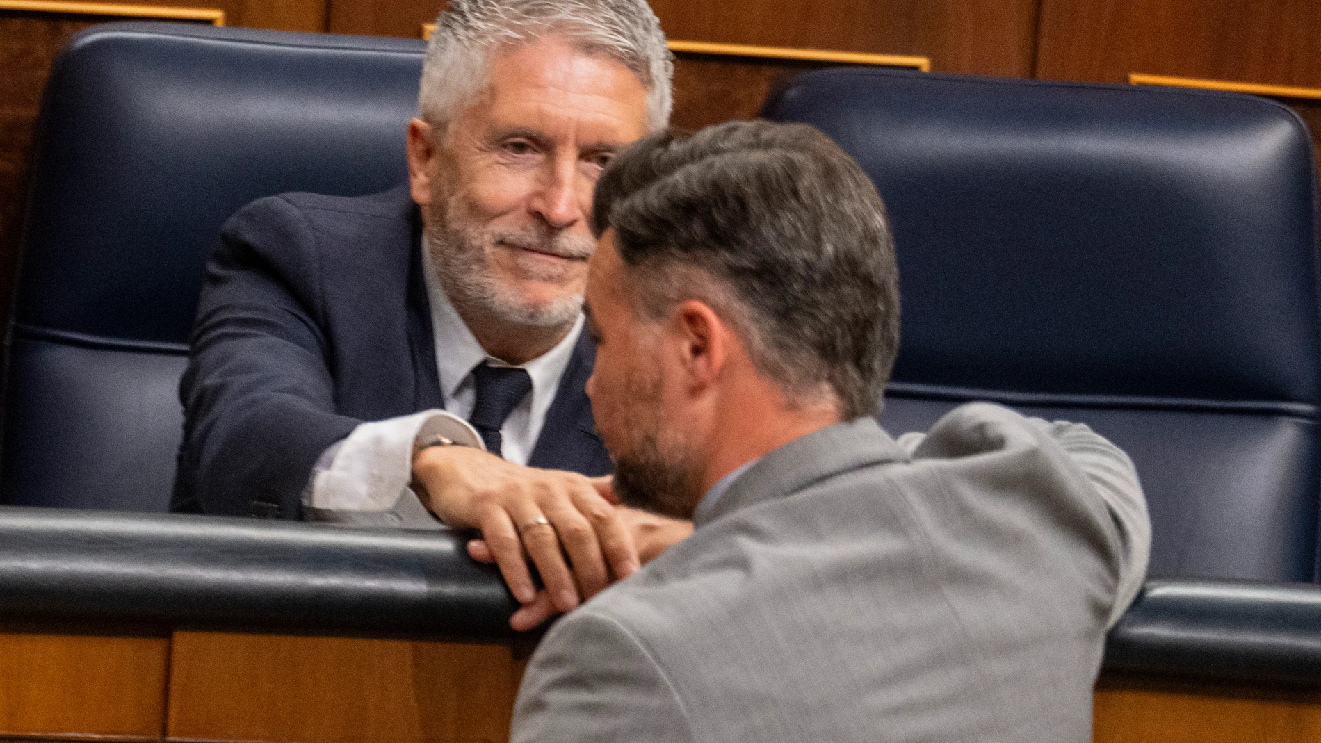 Marlaska y Rufián en el Pleno del Congreso