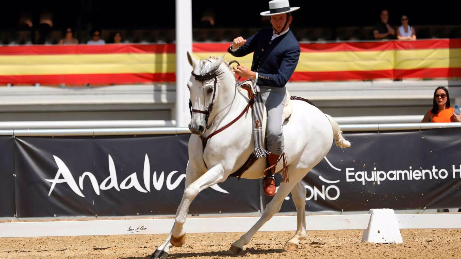 Juan José Verdugo, campeón de España Absoluto de Equitación de Trabajo
