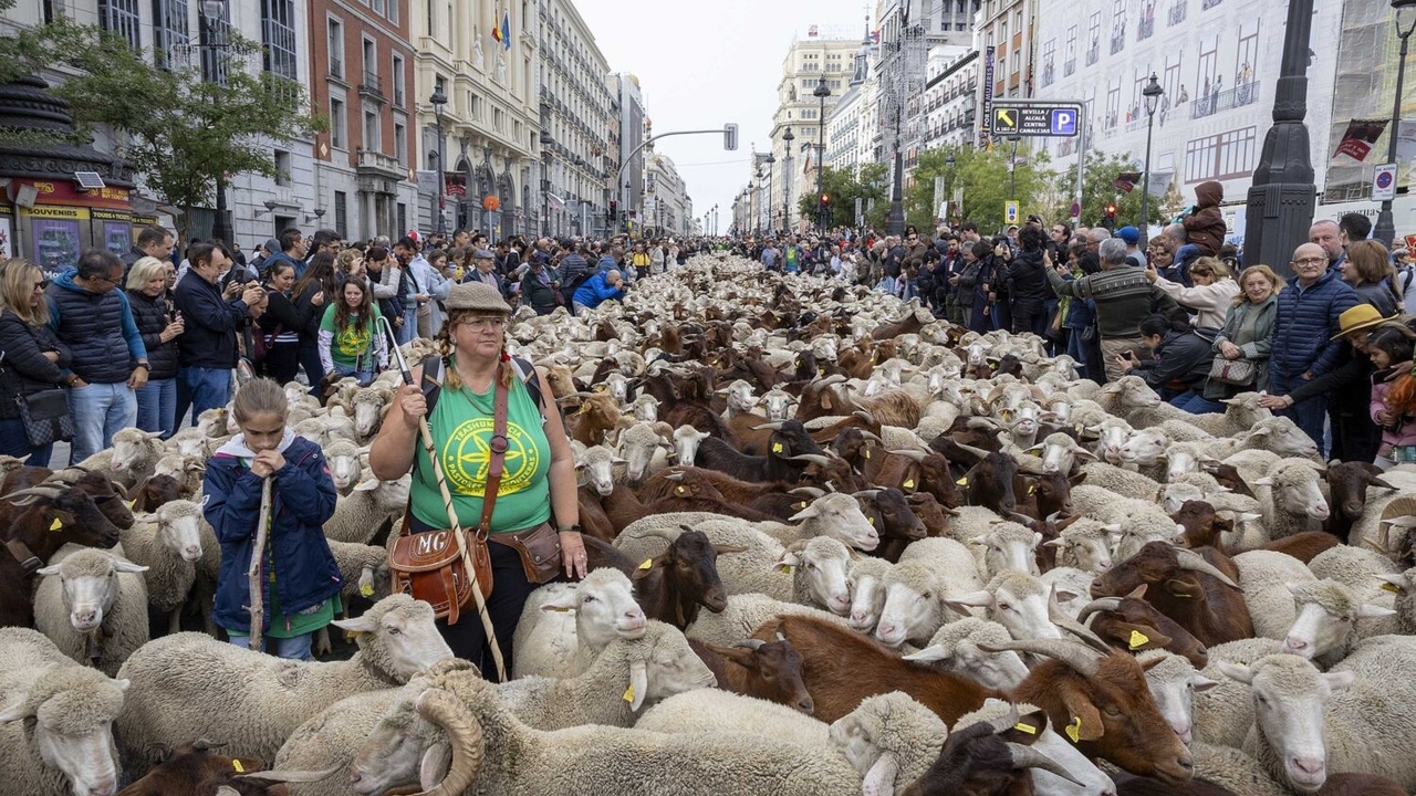 Estos son los cortes que habrá hoy en Madrid por la fiesta de la Trashumancia