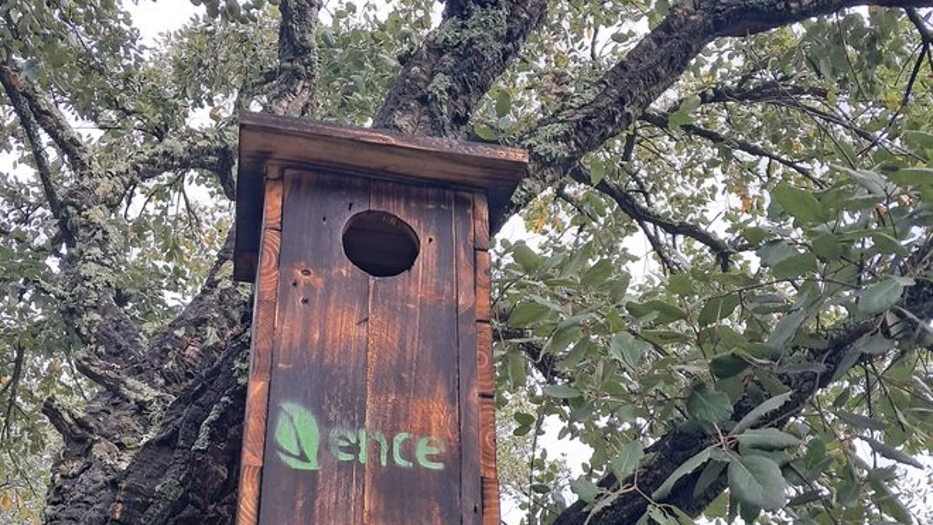 Ence avanza en su Plan de Biodiversidad con medidas para conservar especies y hábitats