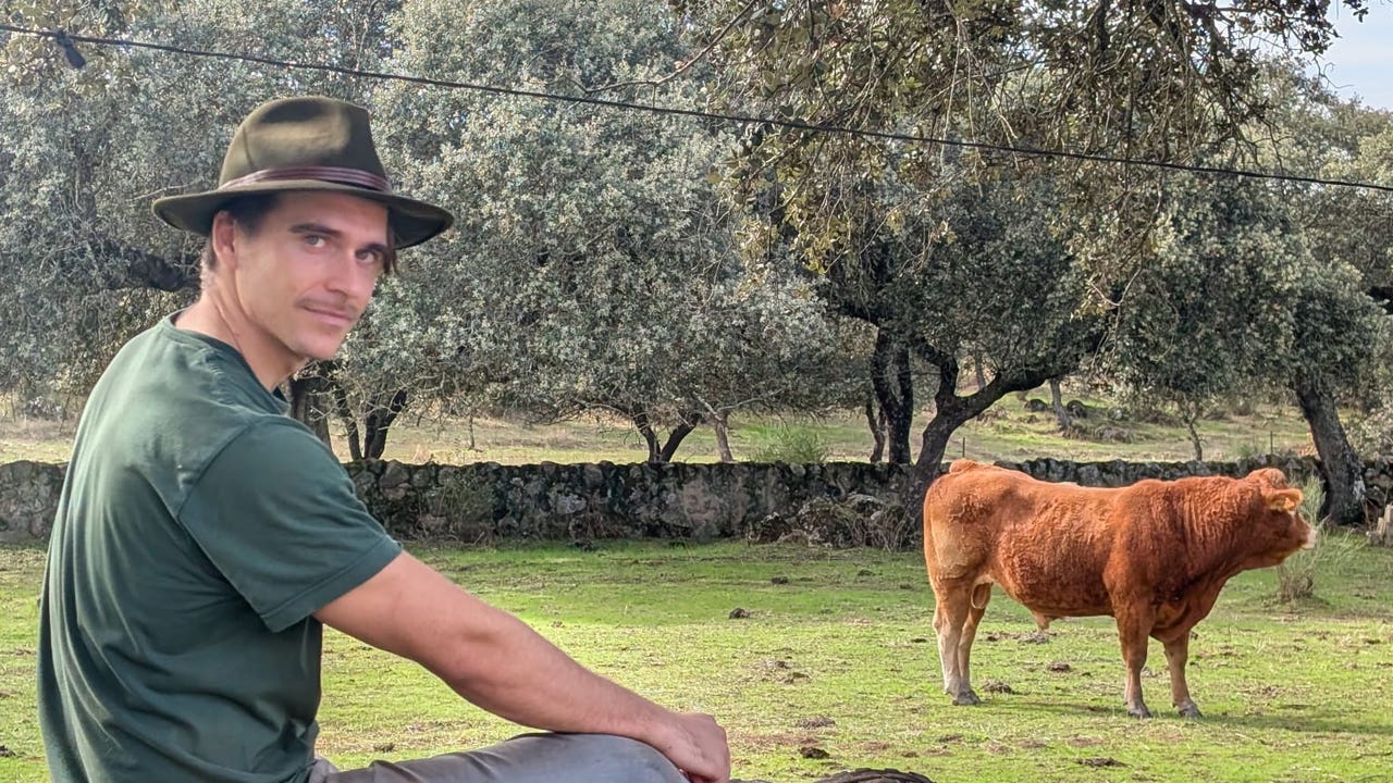 Landlovers, la app que llega para transformar la gestión ganadera