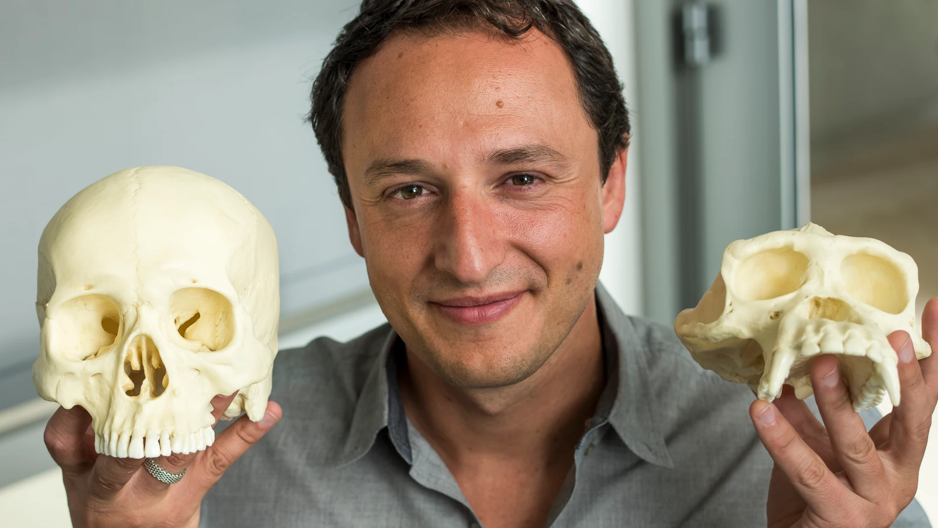 Profesor Alysson Muotry sujetando dos moldes de cráneos de primates (el de la izquierda es de un sapiens)