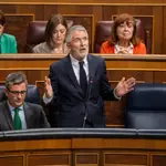 Marlaska en el Pleno del Congreso. David Jar