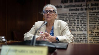 La empresaria Mar&iacute;a del Carmen Pano S&aacute;nchez, comparece en la comisi&oacute;n sobre el &lsquo;caso Koldo&rsquo;, en el Senado, a 15 de octubre de 2025, en Madrid (Espa&ntilde;a). Mar&iacute;a del Carmen Pano S&aacute;nchez declara ante la Comisi&oacute;n de Investigaci&oacute;n sobre los contratos, licencias, concesiones, ayudas y otras operaciones del Gobierno y del sector p&uacute;blico, relacionadas con la intermediaci&oacute;n de Koldo Garc&iacute;a Izaguirre y con las dem&aacute;s personas vinculadas a la trama investigada en la Operaci&oacute;n Delorme. Carmen Pano asegur&oacute; h...