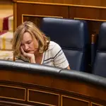 Pilar Alegría en el Pleno del Congreso. David Jar