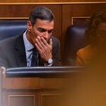 Pedro Sánchez en la sesión de control al Gobierno en el Congreso. David Jar