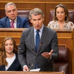 Núñez Feijóo en el Pleno del Congreso. David Jar
