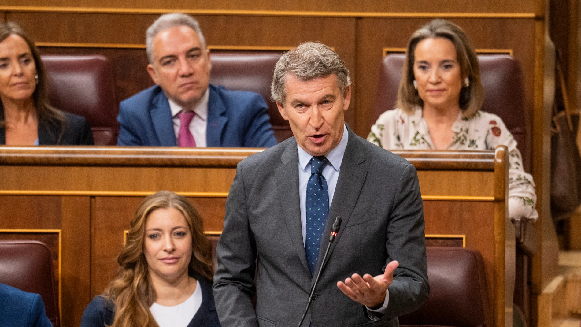 Núñez Feijóo en el Pleno del Congreso
