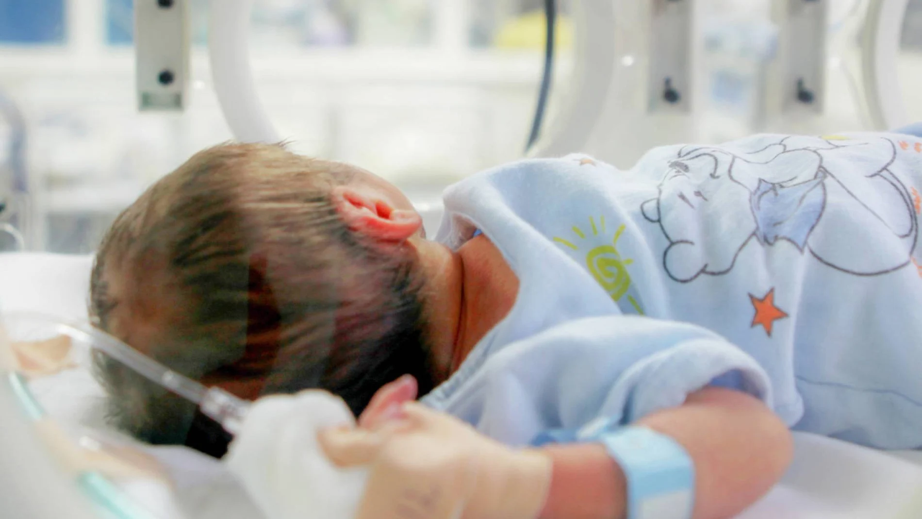 Cuando la vida se adelanta, el viaje invisible de las familias de bebés prematuros