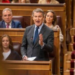 Núñez Feijóo en el Pleno del Congreso. David Jar