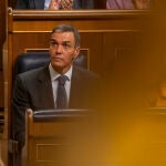 Pedro Sánchez en el Pleno del Congreso. David Jar
