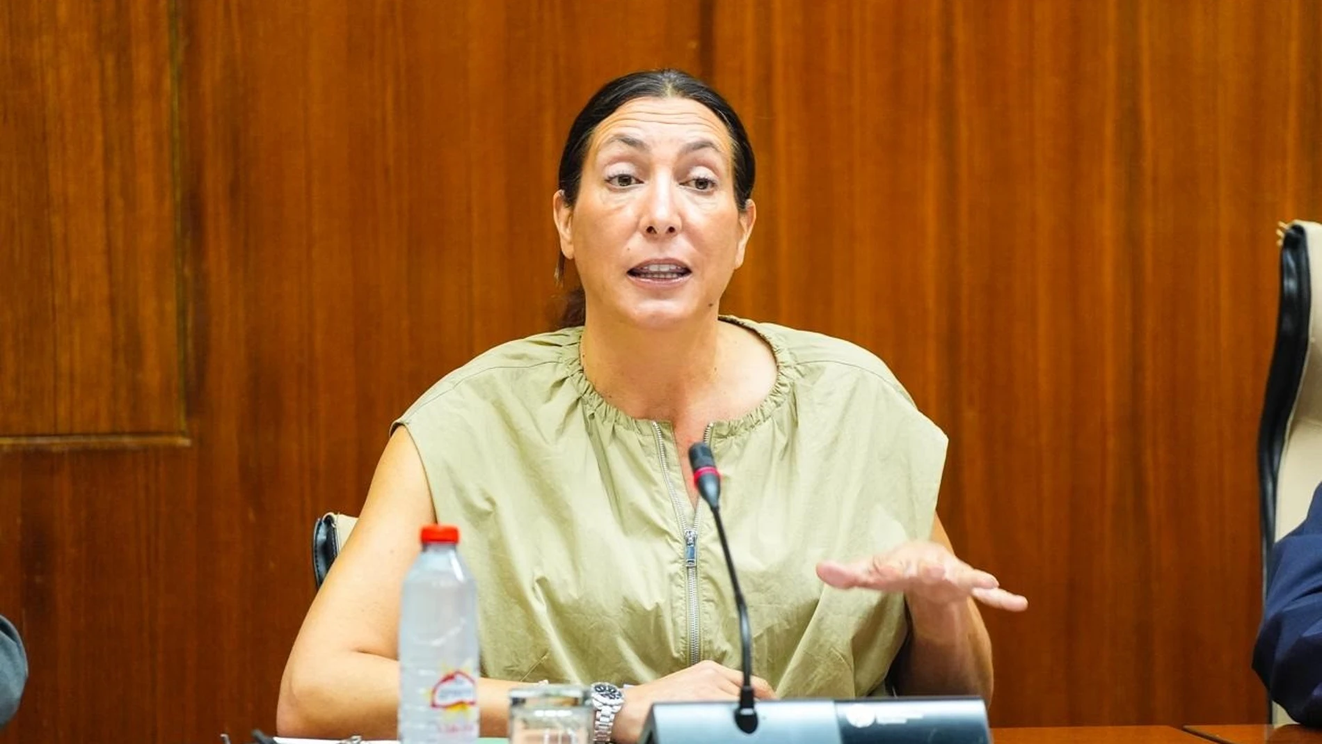 La consejera de Inclusión Social, Loles López, en la comisión parlamentaria del 16 de octubre de 2025.REMITIDA / HANDOUT por JOAQUIN CORCHERO / PARLAMENTO DE ANDALUCIAFotografía remitida a medios de comunicación exclusivamente para ilustrar la noticia a la que hace referencia la imagen, y citando la procedencia de la imagen en la firma16/10/2025