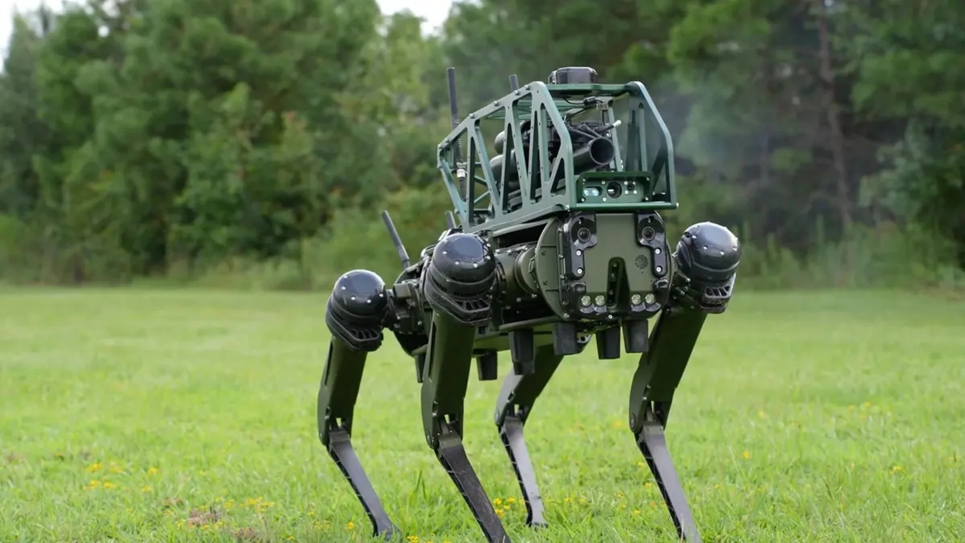 Un perro robot con cuatro patas y un soporte en su parte superior donde tiene instalado un lanzagranadas