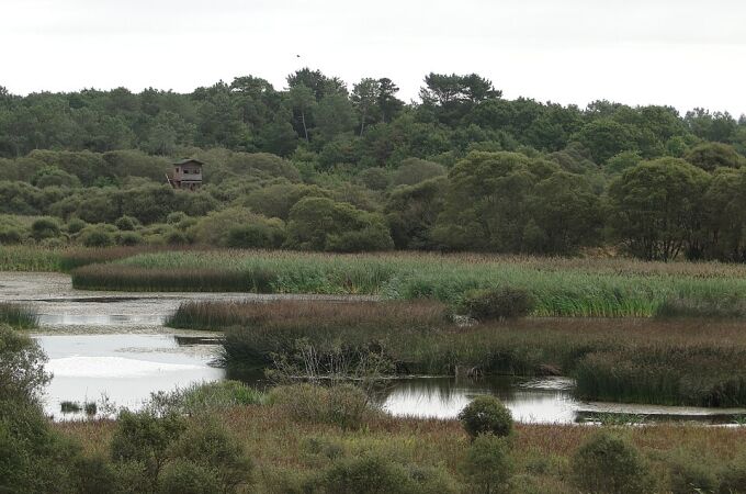 Vista de la laguna. 