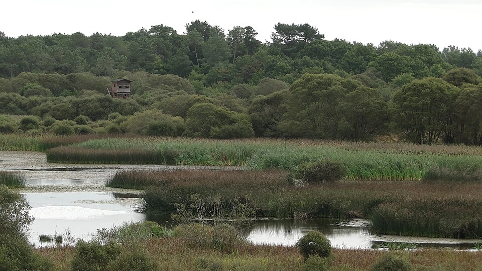 Vista de la laguna.