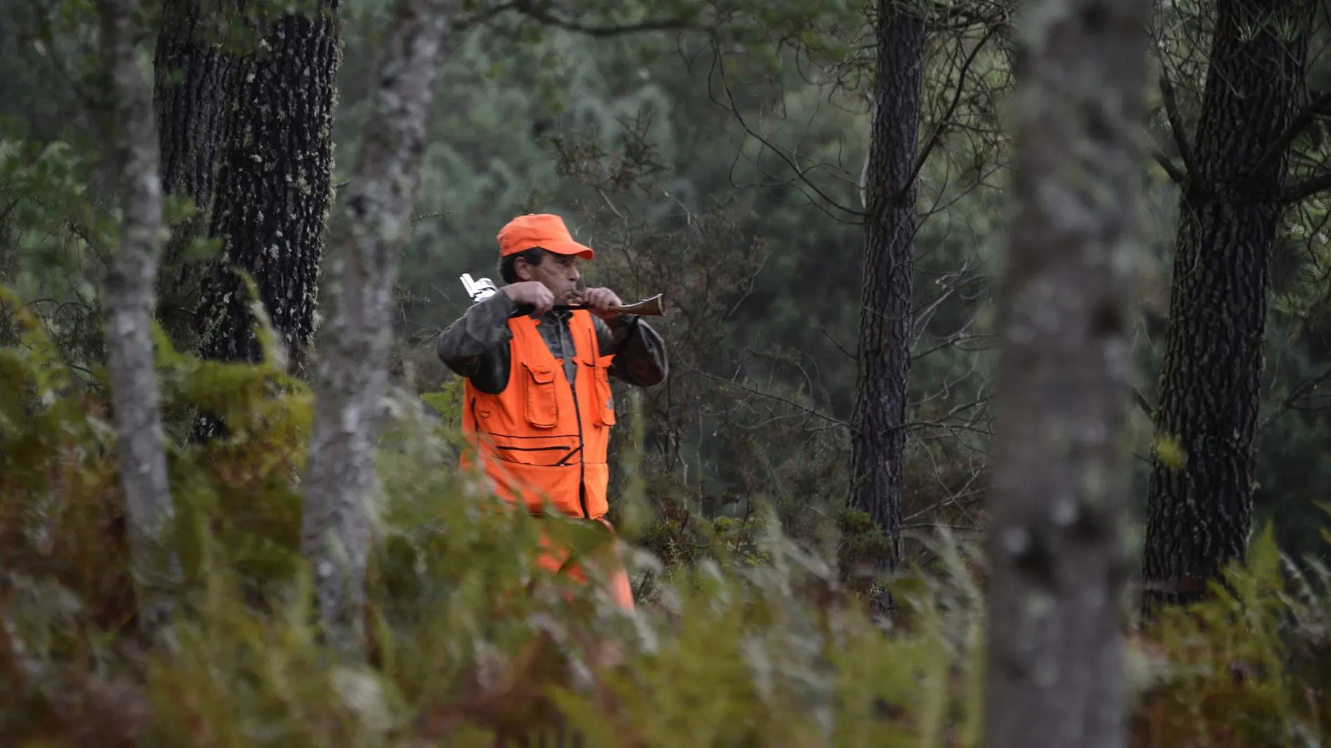 Imagen de archivo de un cazador.