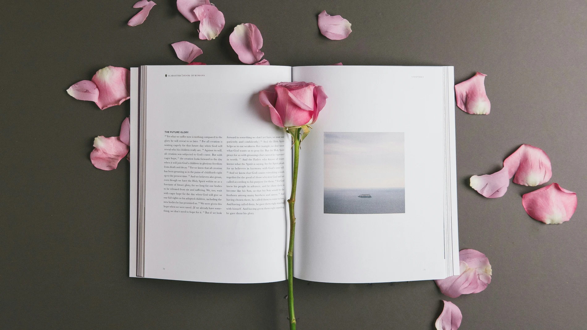 Libros sobre cáncer de mama que acompañan de verdad: 9 títulos para entender, cuidarte y sentirte menos sola