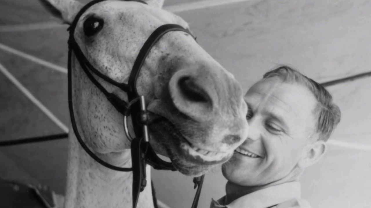 "Snowman", el caballo sin papeles que enamoró a Estados Unidos