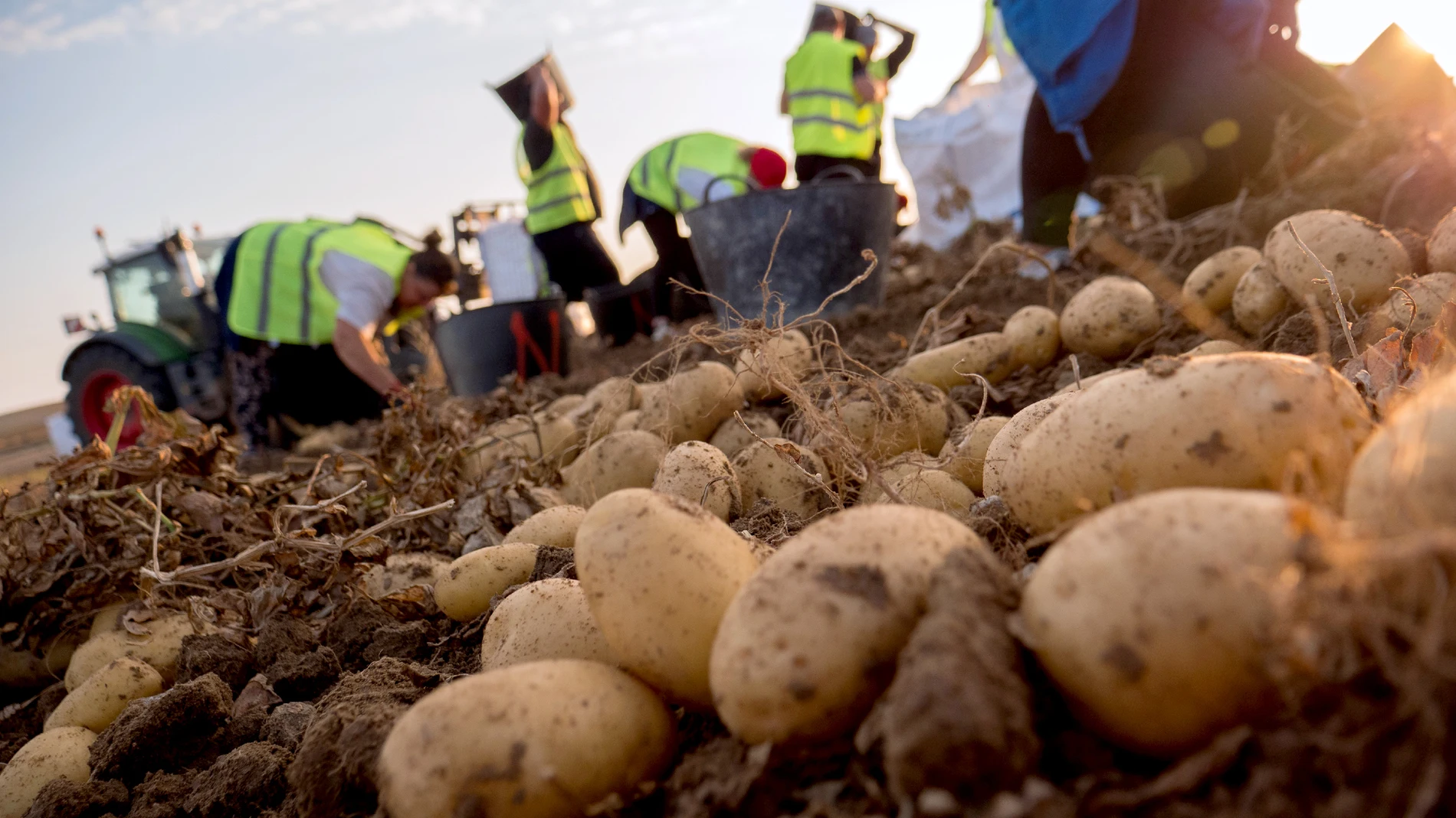 Mercadona comercializa 71.000 toneladas de Castilla y León