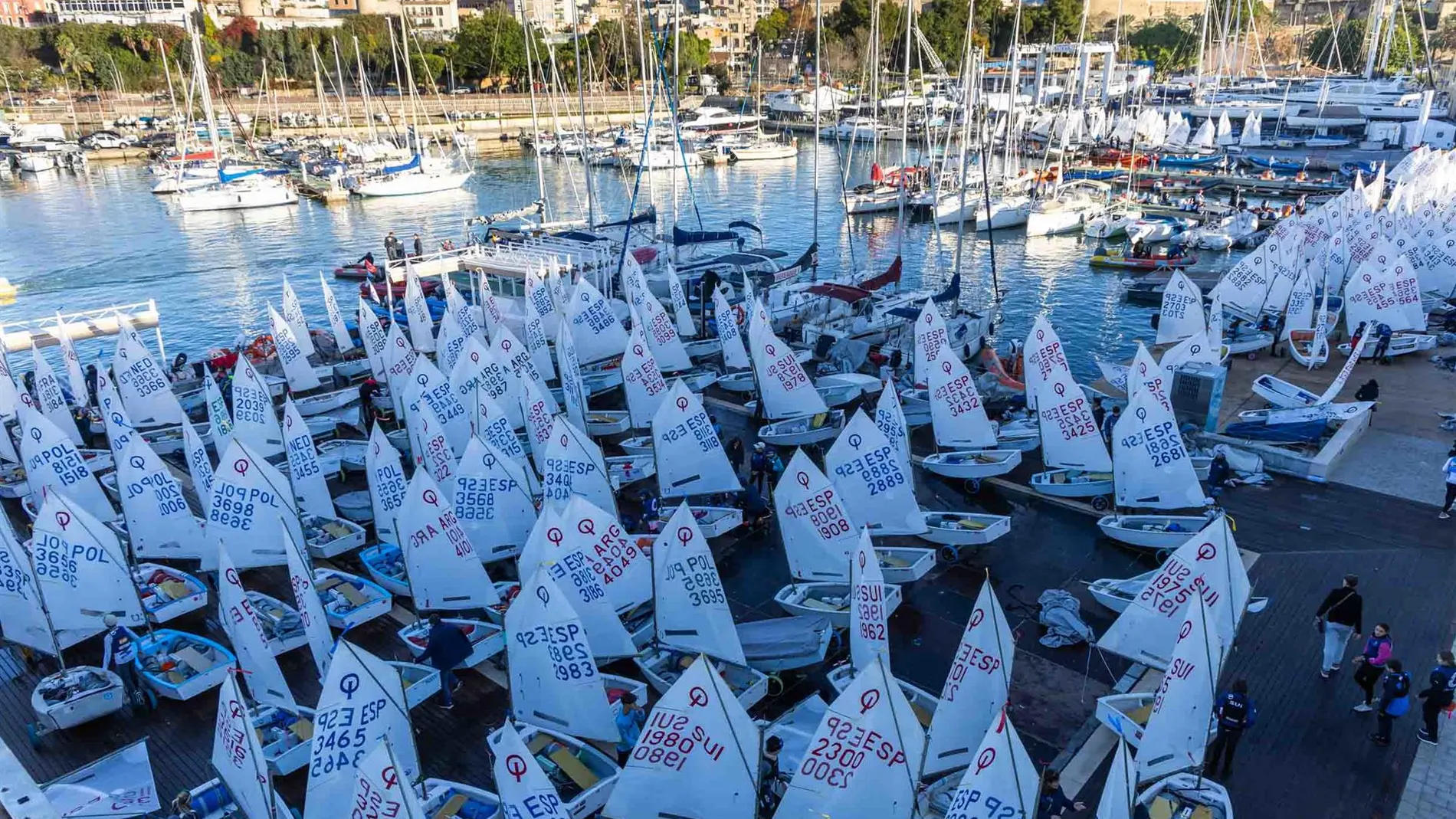 El Trofeo ABANCA Ciutat de Palma de la clase Optimist contará con una participación récord de más de 20 países