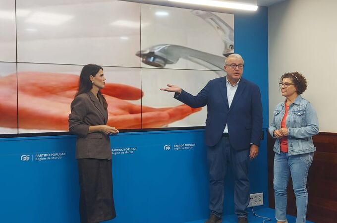 El PP pide la comparecencia de la ministra Aasegen en el Senado y el Congreso por los cortes de agua en la Región El PP pide la comparecencia de la ministra Aasegen en el Senado y el Congreso por los cortes de agua en la Región