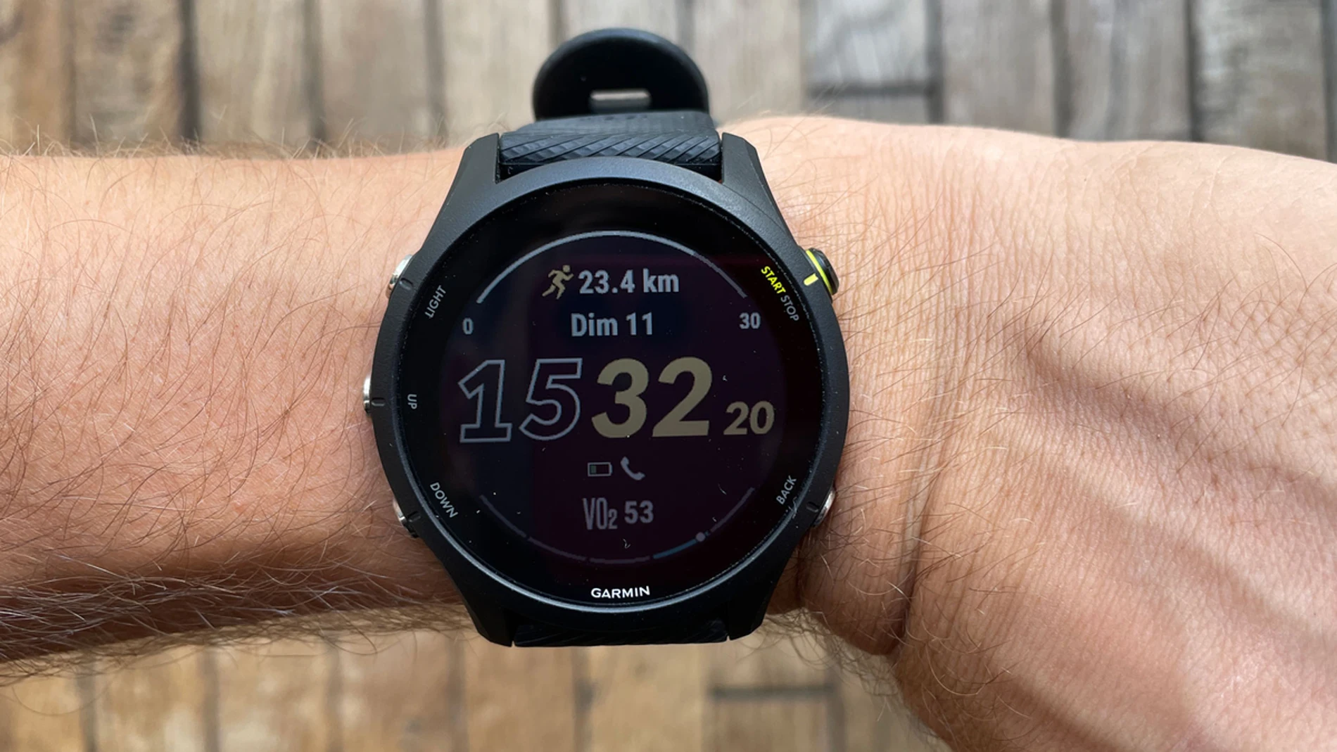 Garmin Forerunner 255