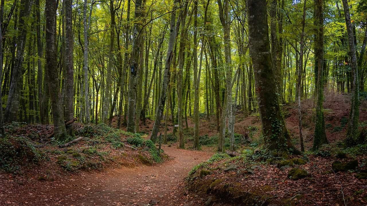 El misterio sin solucionar de los hombres verdes de Olot (Girona)