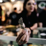 Buenos Aires acoge la Expo Cannabis 2025: Un evento clave para la industria del cannabis en Latinoam&eacute;rica