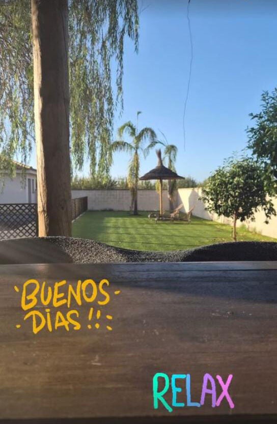 Story de Kiko Rivera desde su jardín