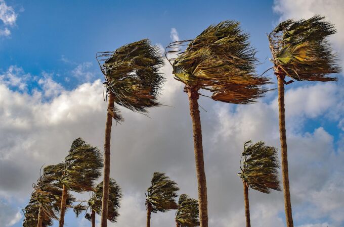 Emergencias establece alerta nivel amarillo por vientos en toda Valencia, interior de Castellón y parte de Alicante