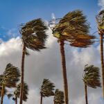 Emergencias establece alerta nivel amarillo por vientos en toda Valencia, interior de Castellón y parte de Alicante