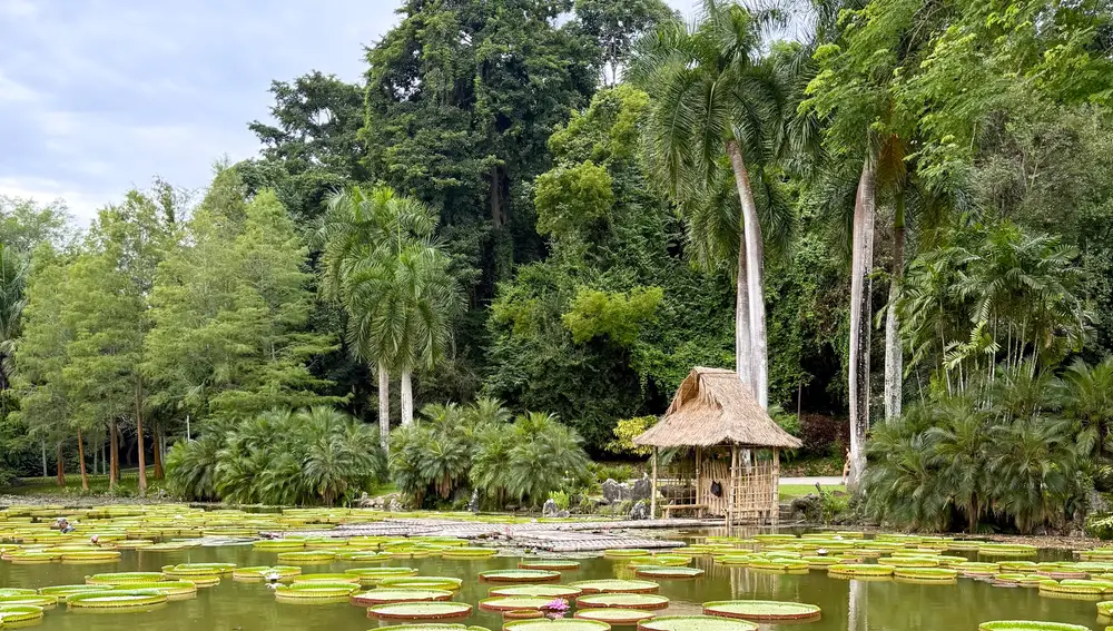 Jardín Botánico Tropical de Xishuangbanna