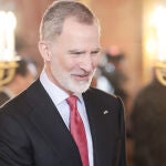 El Rey Felipe VI en una imagen de archivo