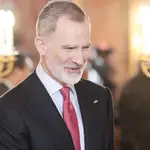 El Rey Felipe VI en una imagen de archivo