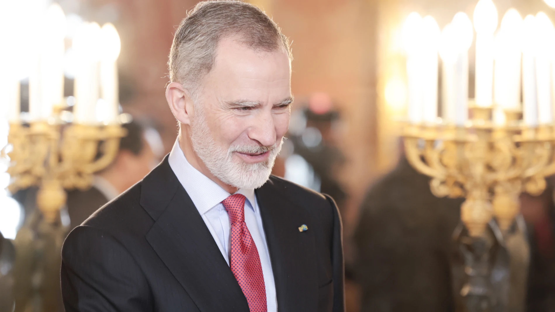 El Rey Felipe VI en una imagen de archivo