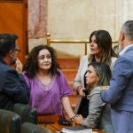 Parlamentarios de Por Andalucía, Adelante Andalucía y el PSOE