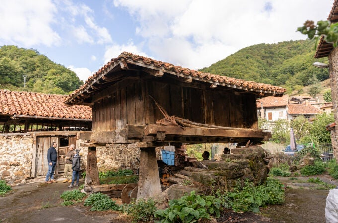 Los hórreos son graneros elevados que parecen desafiar al tiempo y a la humedad con sus patas de madera y piedra Los hórreos son graneros elevados que parecen desafiar al tiempo y a la humedad con sus patas de madera y piedra