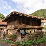 Los hórreos son graneros elevados que parecen desafiar al tiempo y a la humedad con sus patas de madera y piedra