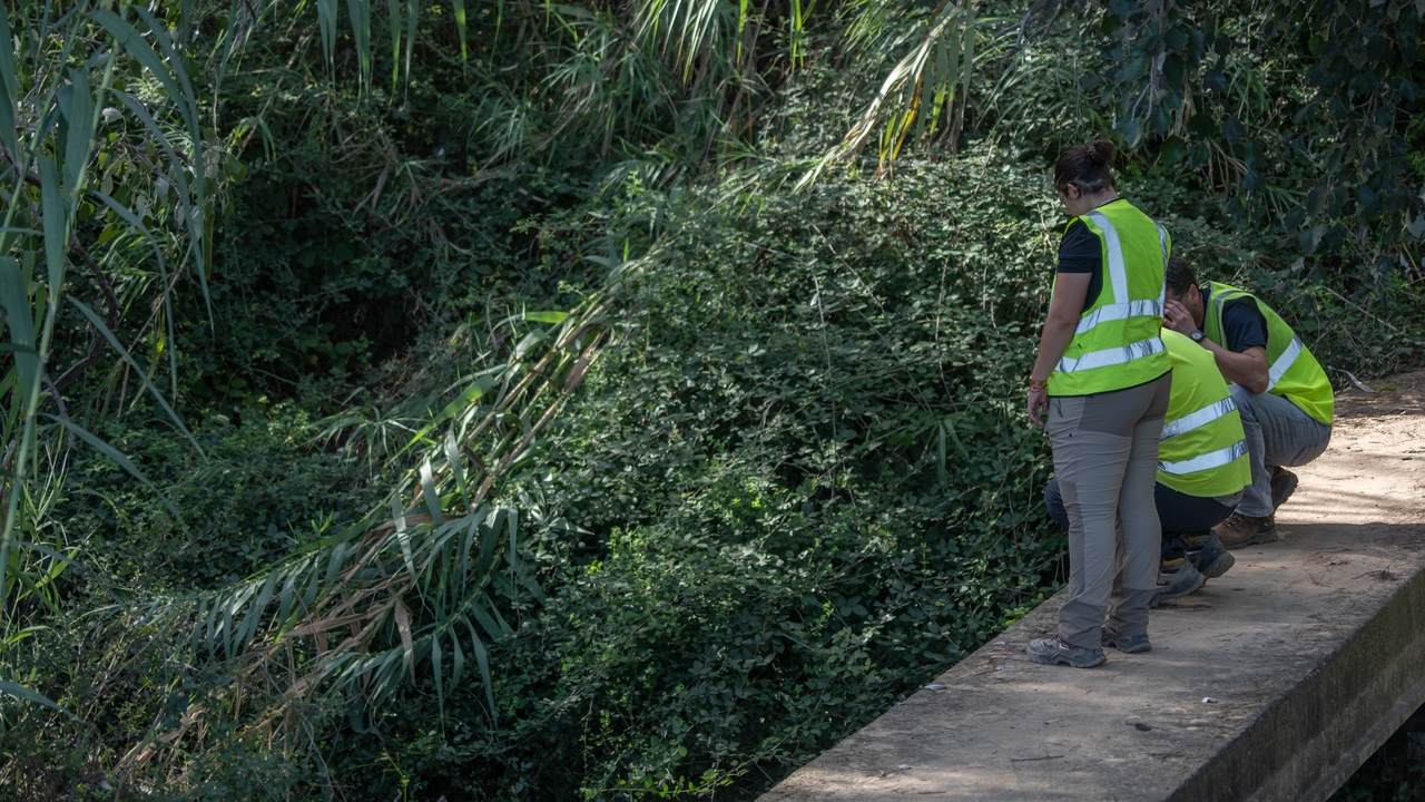 El cadáver hallado en Manises corresponde al hombre desaparecido por la dana en Pedralba