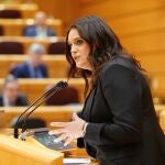 La senadora del PP por Segovia, Natalia Ucero, interviene en la Cámara Alta