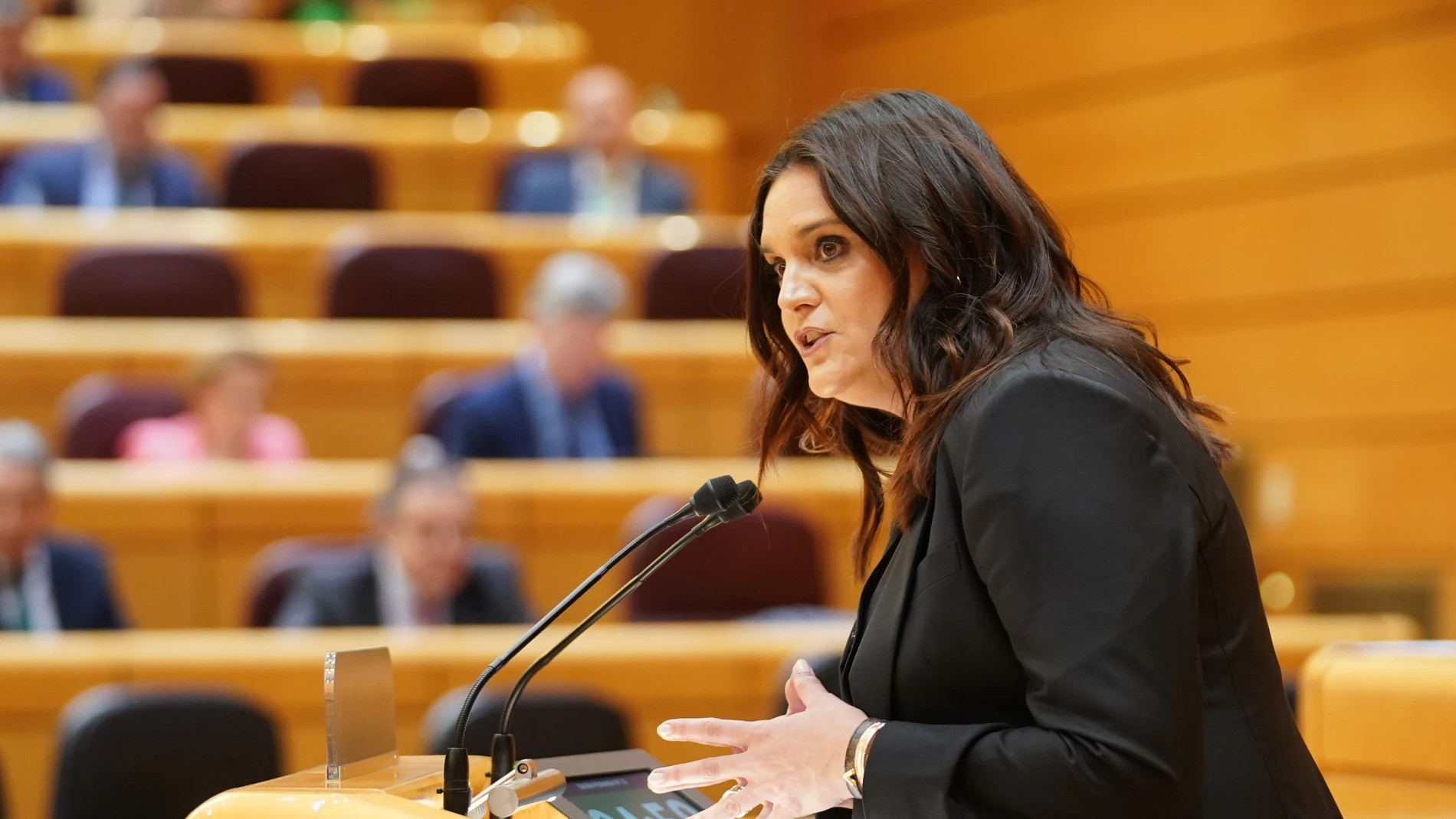 La senadora del PP por Segovia, Natalia Ucero, interviene en la Cámara Alta