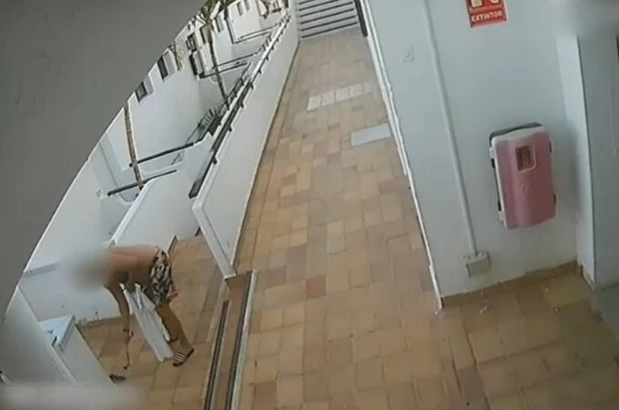 Así fue el ataque que acabó con la vida Millu, la gata más querida de Gran Canaria Así fue el ataque que acabó con la vida Millu, la gata más querida de Gran Canaria