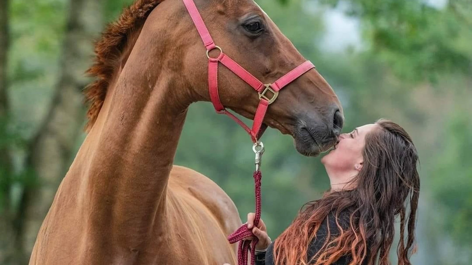 Sophie Spiteri facilita la transición de los purasangre a una vida más tranquila
