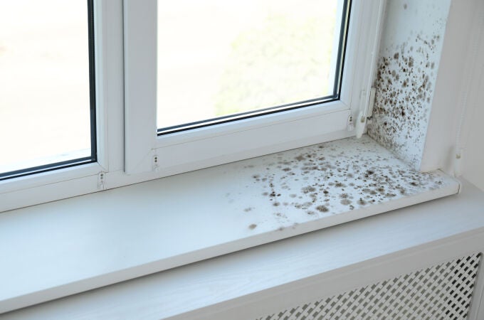 Los espacios interiores han de ser entornos seguros Los espacios interiores han de ser entornos seguros