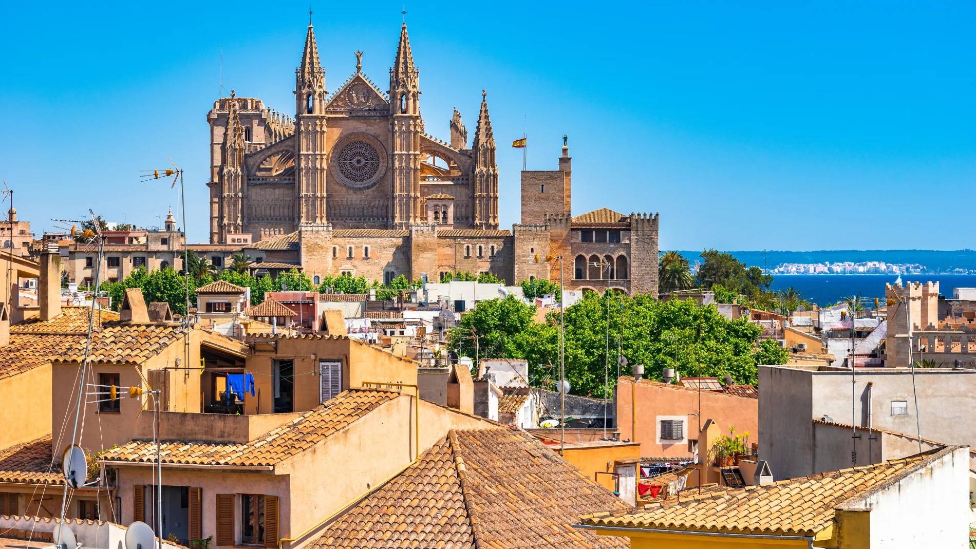 La crítica literaria que denunció ser discriminada en una tienda de Palma de Mallorca: "No eres catalana, eres española. ¿Qué pone en tu DNI?"
