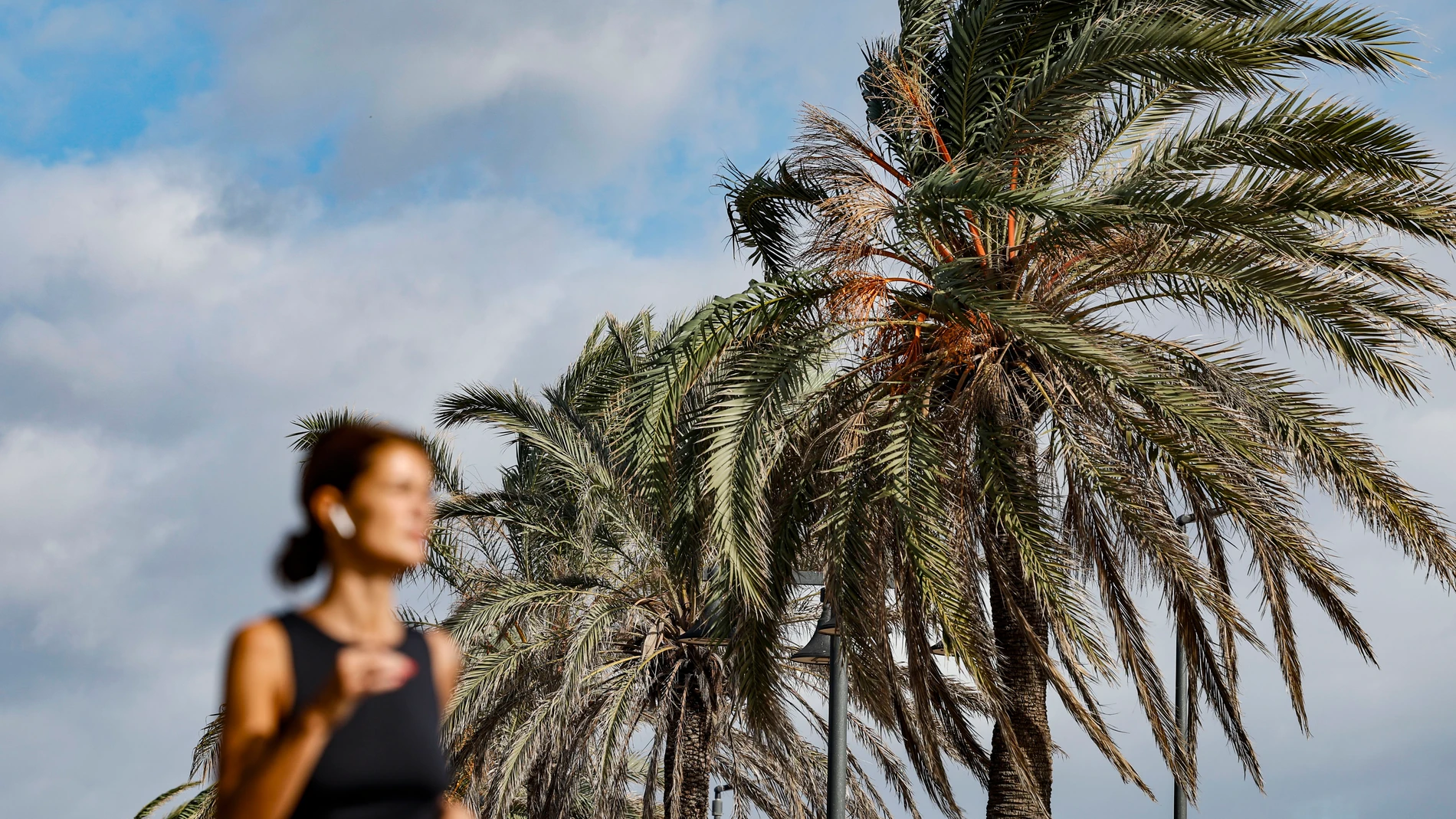 GRAFCVA035. VALÈNCIA, 23/10/2025.- La Agencia Estatal de Meteorología (Aemet) ha establecido para este jueves el aviso amarillo (riesgo) en el interior de la Comunitat Valenciana por vientos de componente oeste con rachas máximas de 80 kilómetros por hora; en el litoral de Valencia y en el litoral norte de Alicante por vientos de componente oeste con rachas máximas de 70 kilómetros por hora; y por fenómenos costeros en Castellón y Valencia por vientos del oeste y suroeste de 50 a 60 kilómetro...