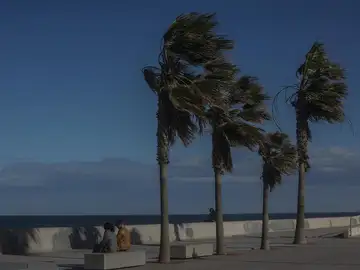 MURCIA.-Meteorología mantiene su aviso por viento con rachas de hasta 70 km/h este jueves en el Altiplano MURCIA.-Meteorología mantiene su aviso por viento con rachas de hasta 70 km/h este jueves en el Altiplano