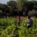 MADRID.-Mujeres rurales madrileñas piden a Europa más inversión para emprender y menos burocracia: "Sin pueblos no hay países"